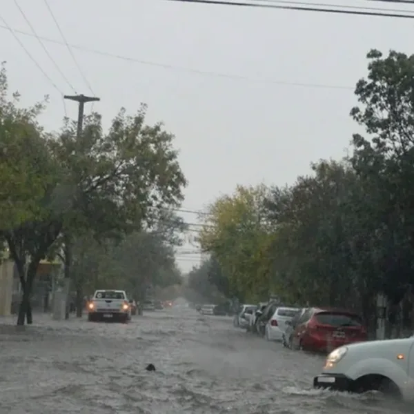 Temporal en Santa Rosa: canales desbordados, cables caídos y cortes de luz